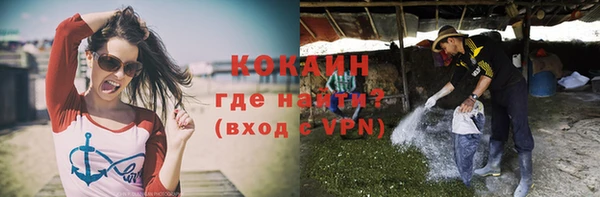 индика Новокубанск