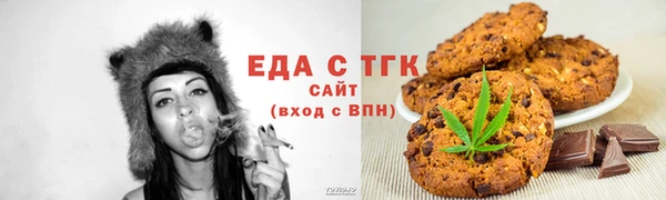СК Новодвинск