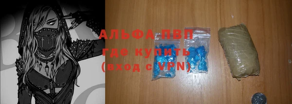 индика Новокубанск
