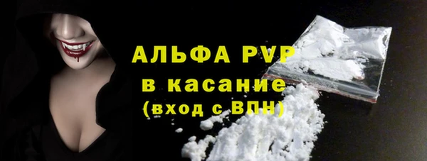 СК Новодвинск