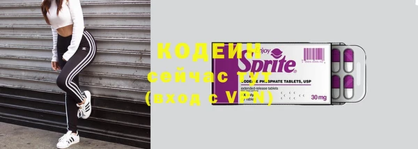 индика Новокубанск