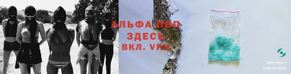СК Новодвинск