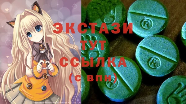СК Новодвинск