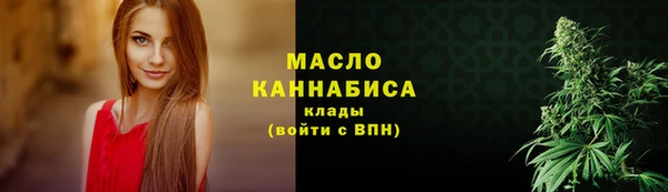 СК Новодвинск