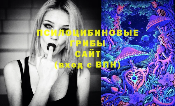 СК Новодвинск