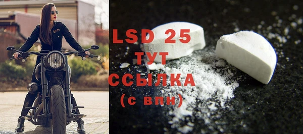 СК Новодвинск