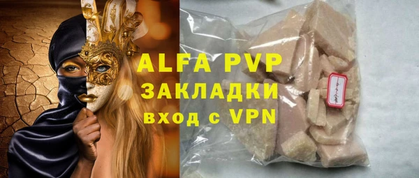 индика Новокубанск