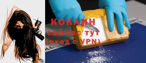 индика Новокубанск